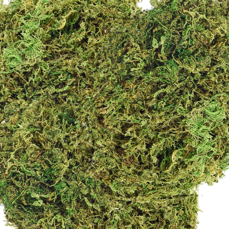 ZYAPA 35 OZ Moss for Potted Plants Fake Moss for Fake Plants,Artificial Moss for Crafts,Faux Moss for Fake Plants Decroative Moss Artificial Green Moss - Image 1